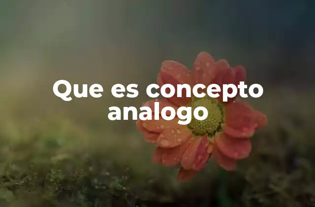 Que es Concepto Analogo