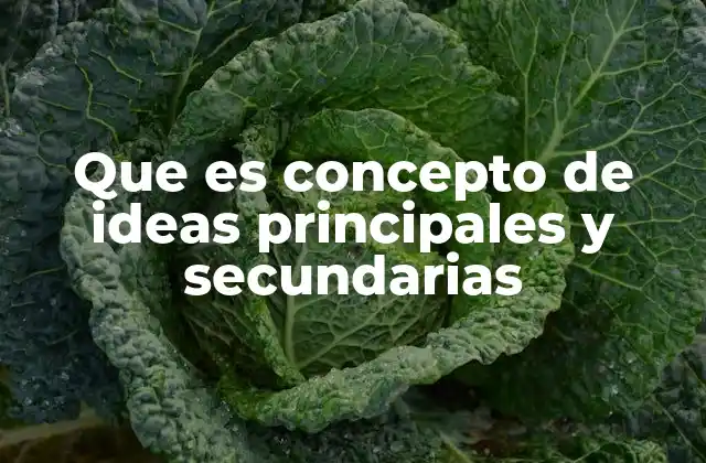 Que es Concepto de Ideas Principales y Secundarias