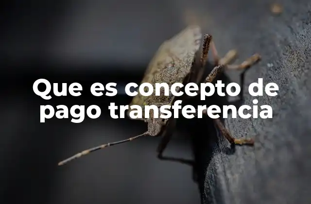 La importancia del detalle en las transacciones financieras