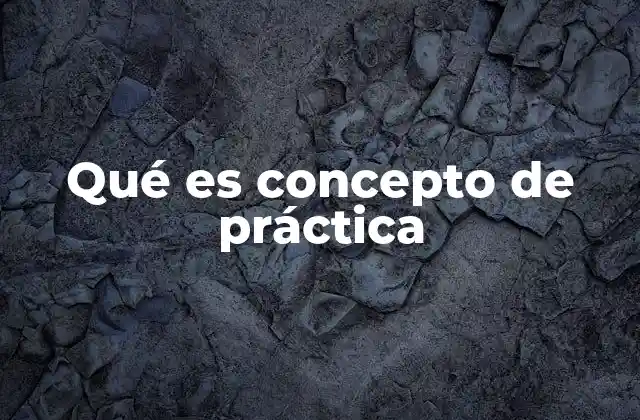 Qué es Concepto de Práctica