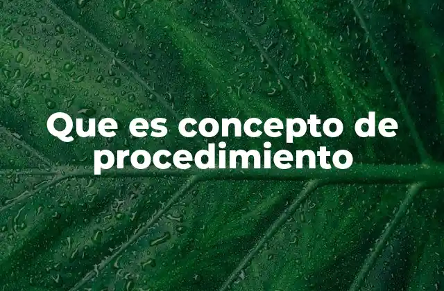 Que es Concepto de Procedimiento