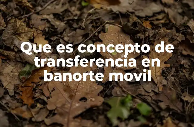 Que es Concepto de Transferencia en Banorte Movil 2 Tipos de transferencias disponibles en Banorte Móvil