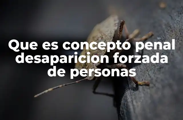 Que es Concepto Penal Desaparicion Forzada de Personas