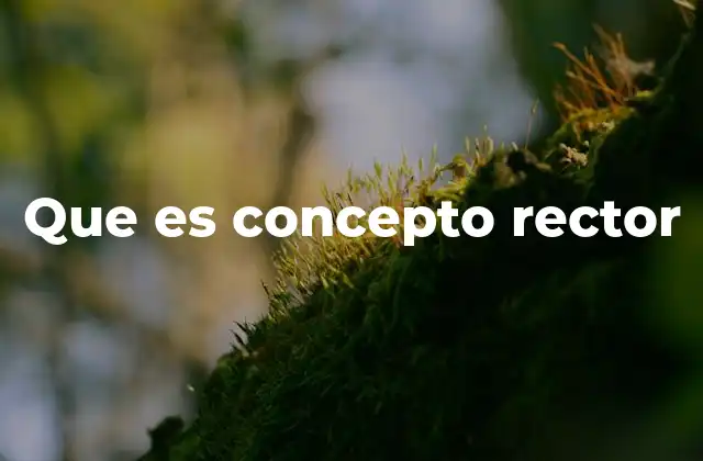 Que es Concepto Rector