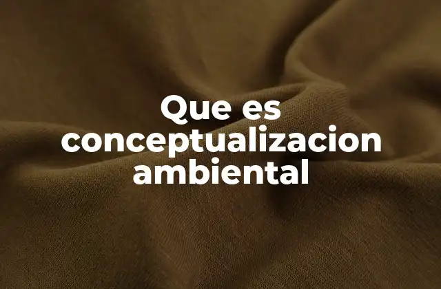 Que es Conceptualizacion Ambiental
