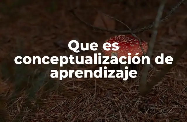 La base psicológica de la conceptualización del aprendizaje