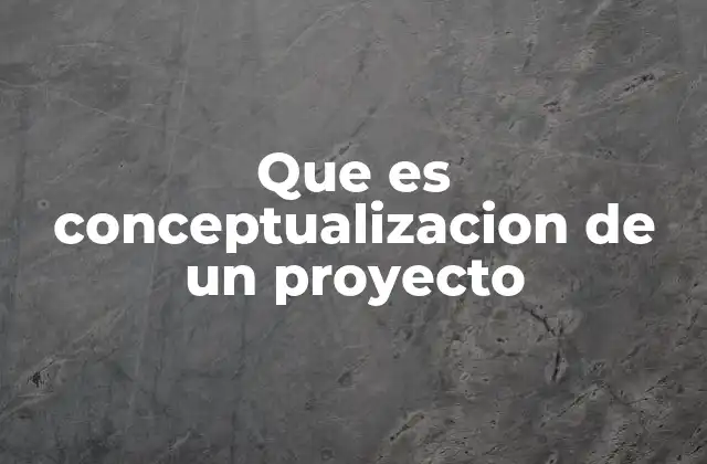 Que es Conceptualizacion de un Proyecto