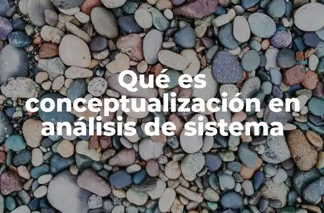 El rol de la conceptualización en el diseño de sistemas