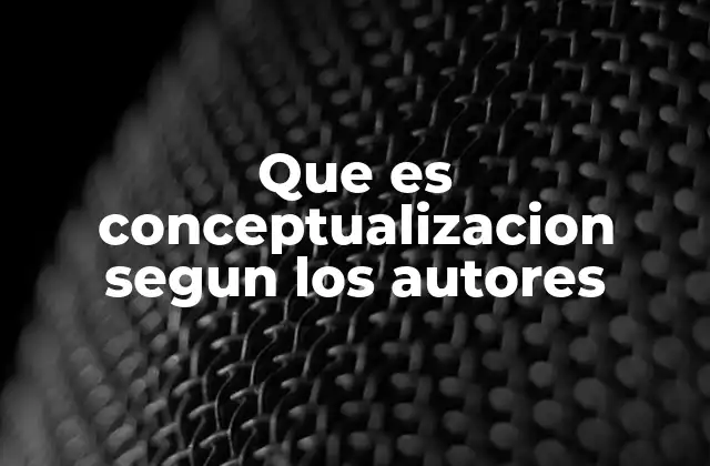 Que es Conceptualizacion Segun los Autores