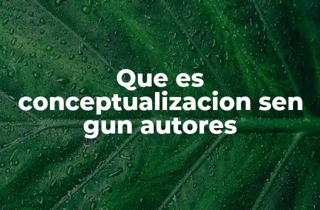 Que es Conceptualizacion Sen Gun Autores
