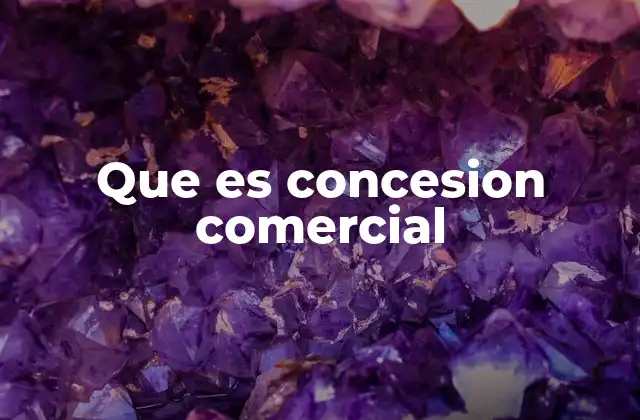 Que es Concesion Comercial 2 La importancia de las concesiones en el desarrollo empresarial