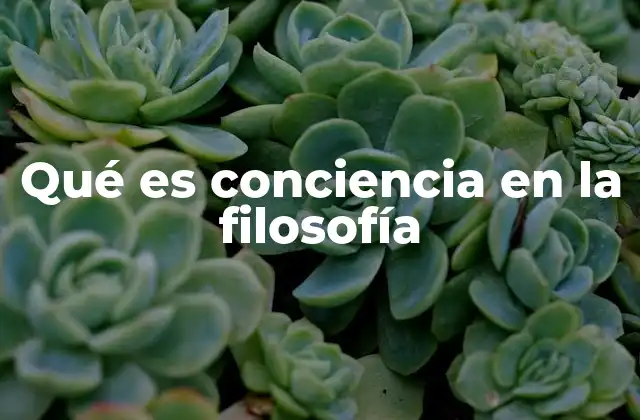 Qué es Conciencia en la Filosofía