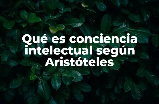 Qué es Conciencia Intelectual según Aristóteles