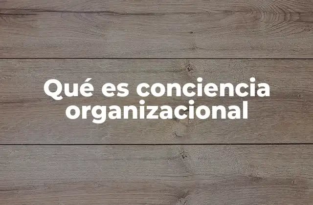 Qué es Conciencia Organizacional