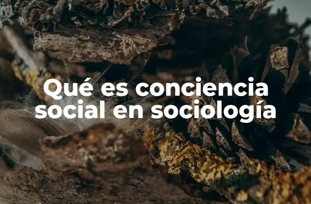 Qué es Conciencia Social en Sociología