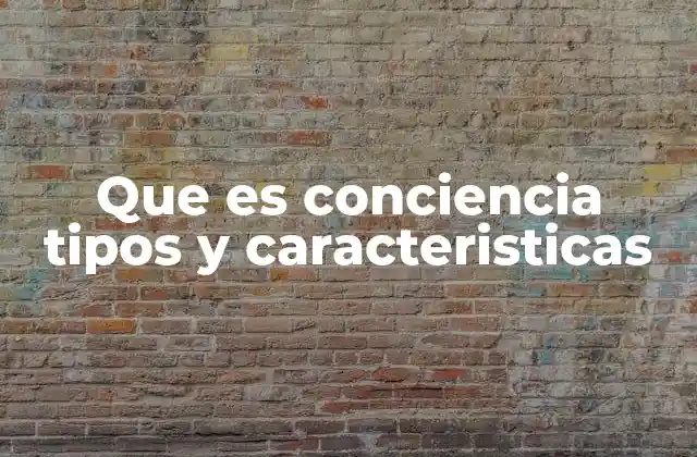 Que es Conciencia Tipos y Caracteristicas