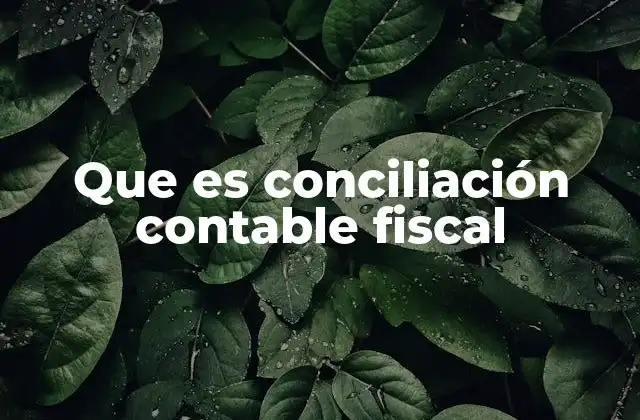 Que es Conciliación Contable Fiscal