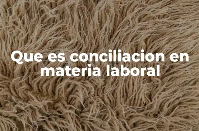 Que es Conciliacion en Materia Laboral