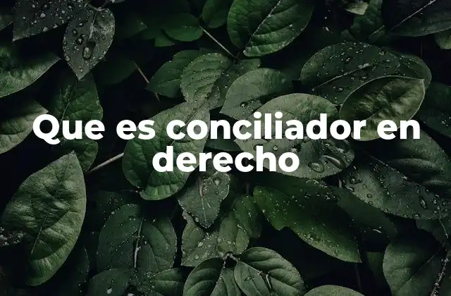 Que es Conciliador en Derecho