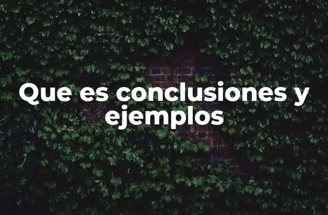 Que es Conclusiones y Ejemplos