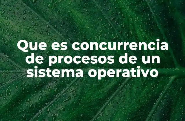 Que es Concurrencia de Procesos de un Sistema Operativo