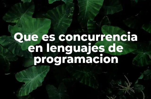 Que es Concurrencia en Lenguajes de Programacion