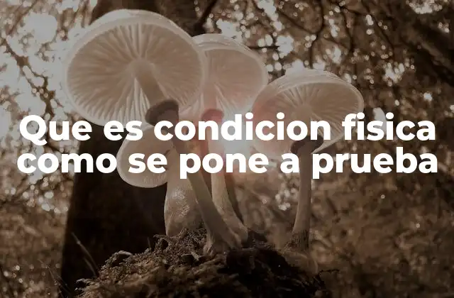 Que es Condicion Fisica como Se Pone a Prueba