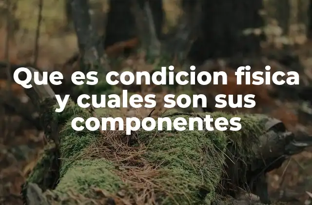 Que es Condicion Fisica y Cuales Son Sus Componentes 2 La importancia de los distintos elementos que conforman la condición física