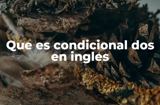 Que es Condicional Dos en Ingles