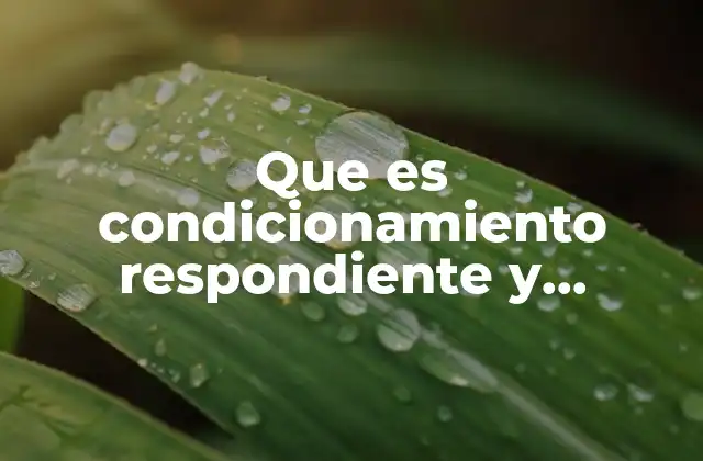 El proceso detrás del condicionamiento respondiente
