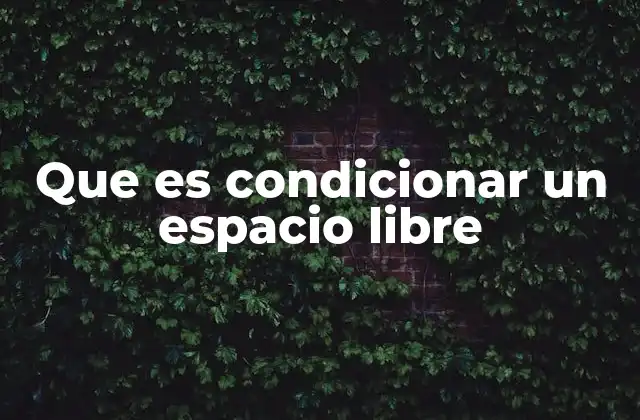 Que es Condicionar un Espacio Libre