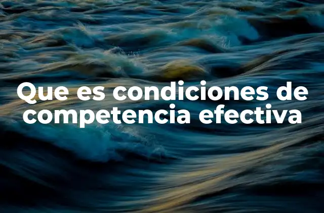 Que es Condiciones de Competencia Efectiva
