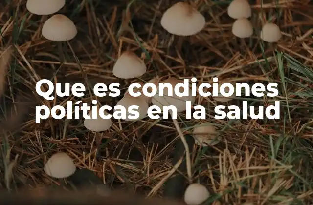 Que es Condiciones Políticas en la Salud 2 Cómo la gobernanza afecta el acceso a la salud
