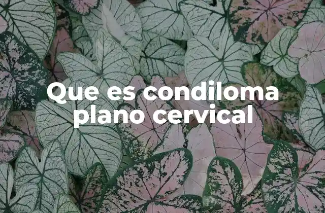 Que es Condiloma Plano Cervical