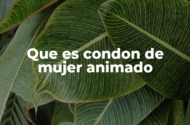 Que es Condon de Mujer Animado 2 Características del condón femenino animado