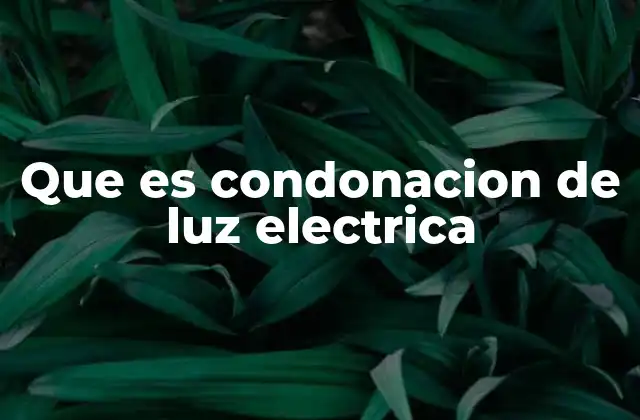 Que es Condonacion de Luz Electrica 2 El impacto social de la exención del pago de energía eléctrica