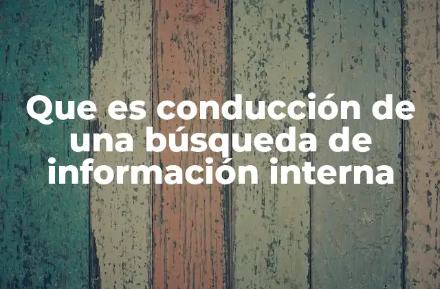 Que es Conducción de una Búsqueda de Información Interna