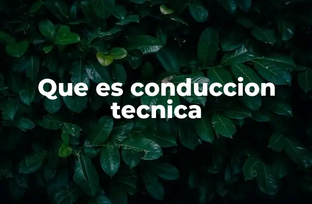 Que es Conduccion Tecnica 2 La importancia de una técnica adecuada al volante