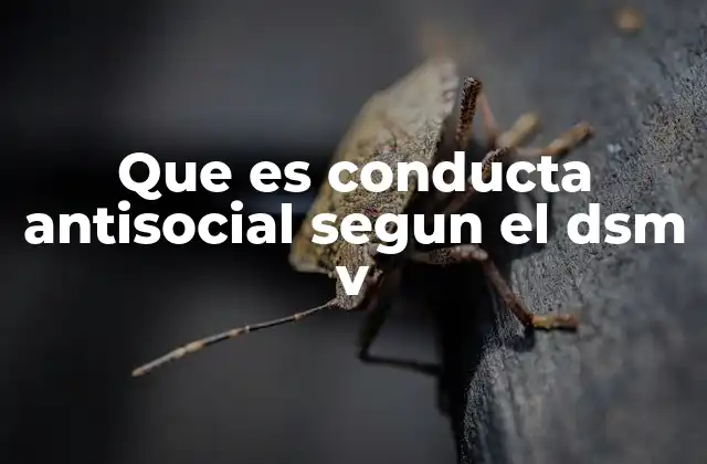 Que es Conducta Antisocial Segun el Dsm V