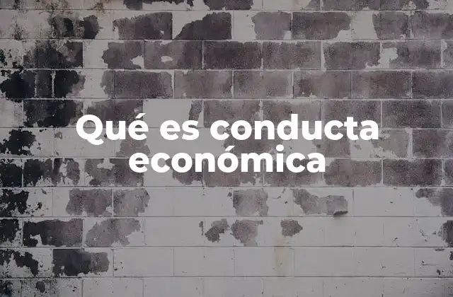 Qué es Conducta Económica