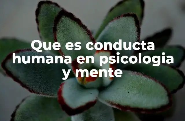 Que es Conducta Humana en Psicologia y Mente