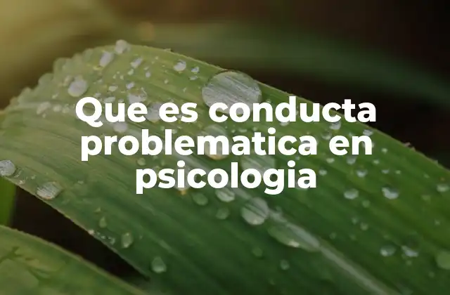 Que es Conducta Problematica en Psicologia