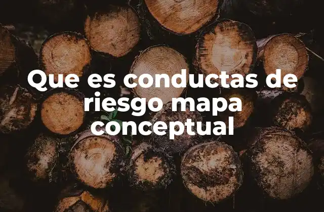 Que es Conductas de Riesgo Mapa Conceptual
