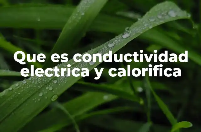 Diferencias entre conductividad eléctrica y térmica
