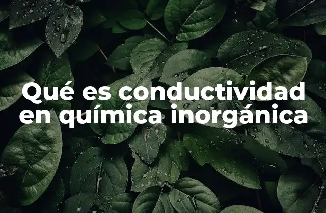 Qué es Conductividad en Química Inorgánica