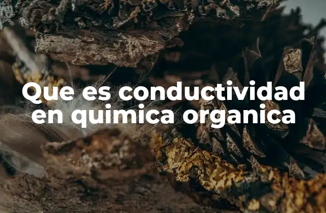 Que es Conductividad en Quimica Organica