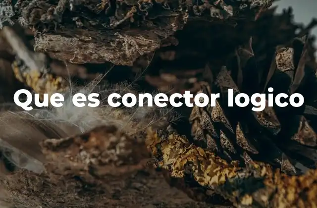 Que es Conector Logico