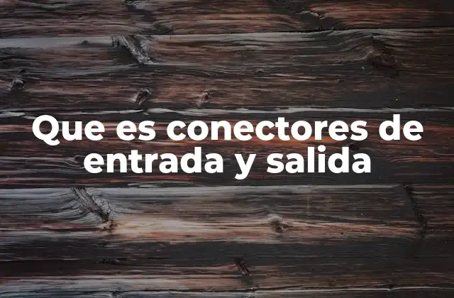 Que es Conectores de Entrada y Salida