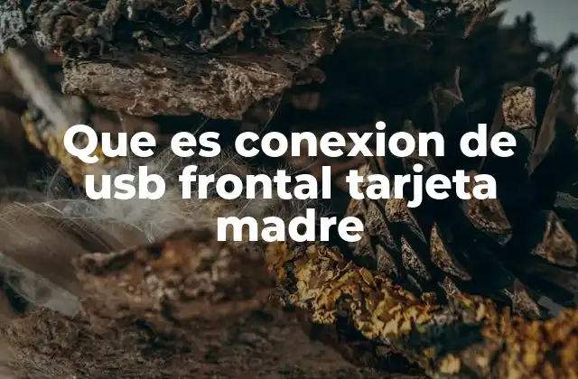 La importancia de los puertos USB en la ergonomía del sistema