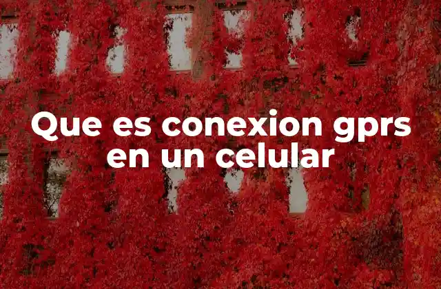 Que es Conexion Gprs en un Celular